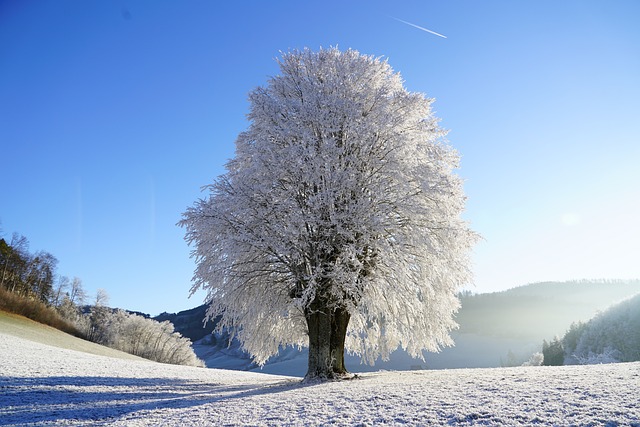 hiver