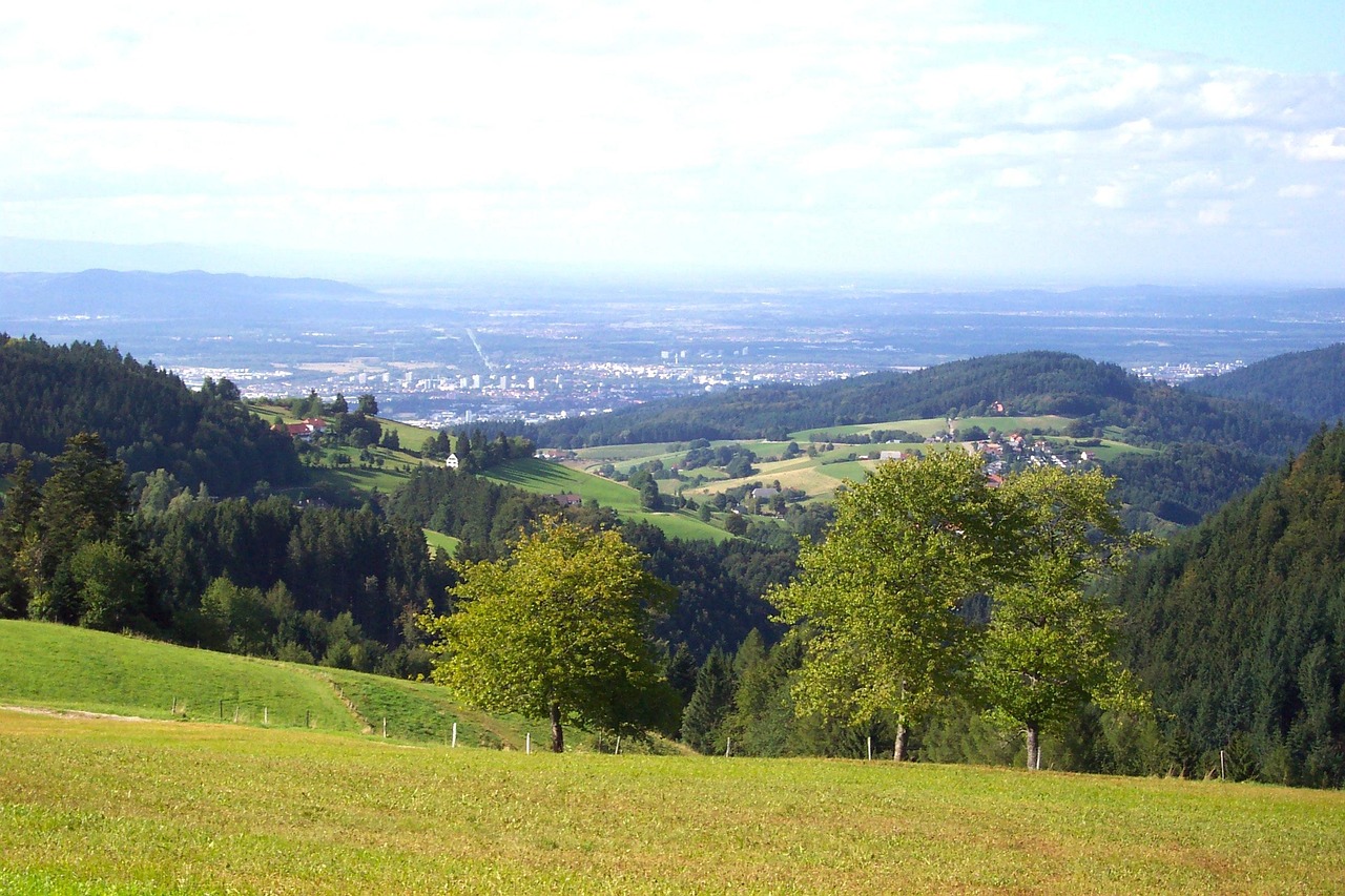 On voit la nature au premier plan et dans le fond une ville dans la vallée