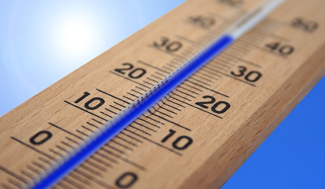canicule