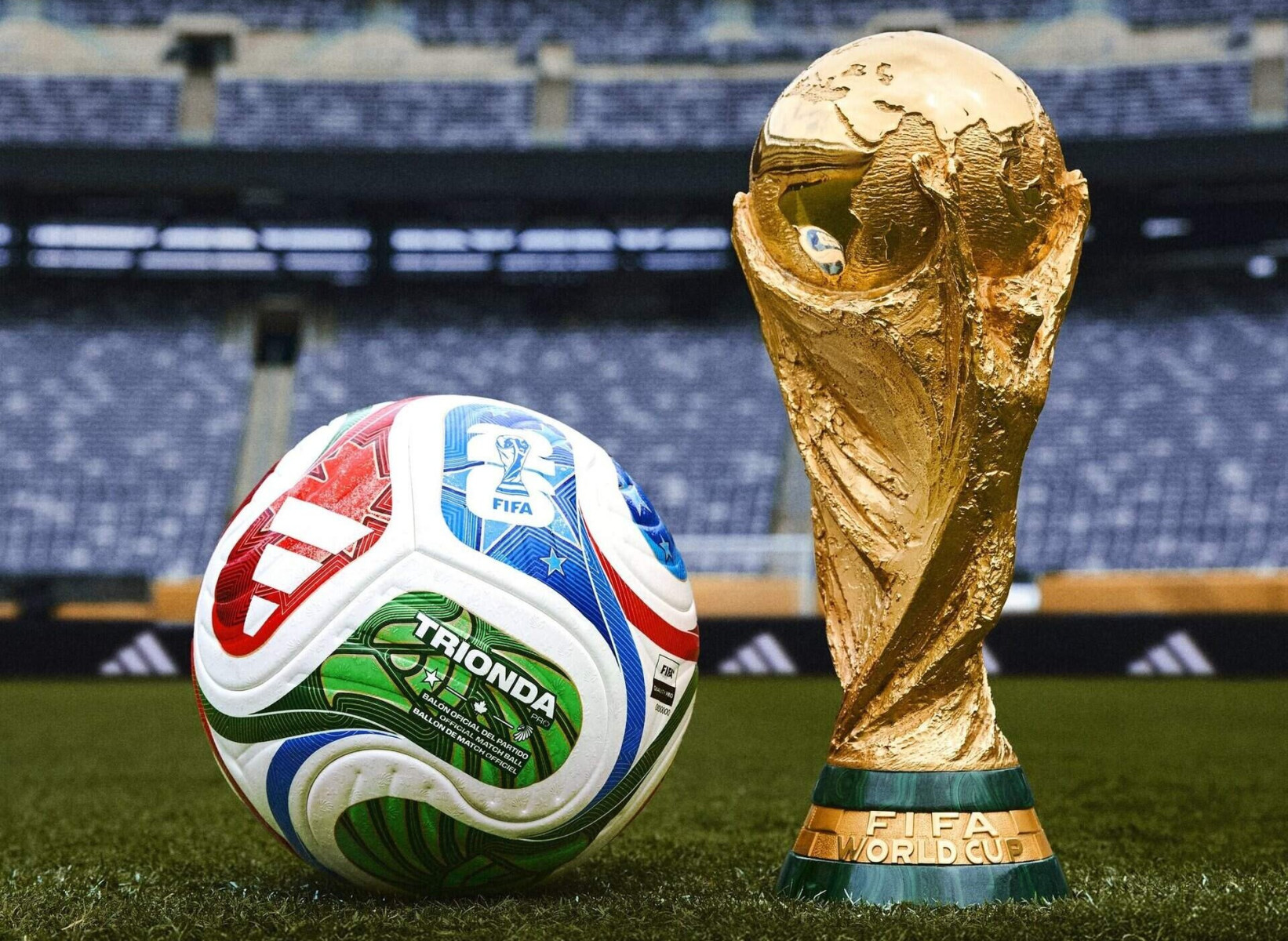 coupe du monde